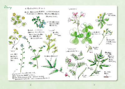 時短スケッチ帖 2〈In the garden〉