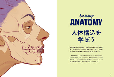 Procreateでポートレートを描こう 顔のデッサンから着彩まで
