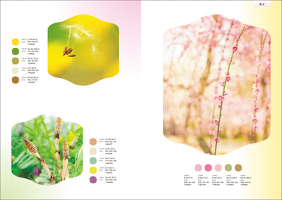 【セール】和の配色パターン　日本の季節と伝統色からつくる美しい配色