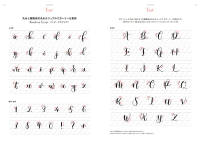 【セール】はじめてでもきれいに書ける iPadレタリング