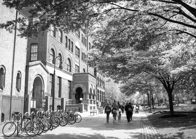 【セール】デザイン、学びのしくみ　ニューヨークの美大講師が考える創造力の伸ばし方