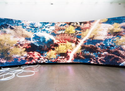 【セール】DIGITAL BITES　デジタル・バイツ