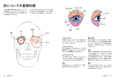【セール】Procreateでポートレートを描こう　顔のデッサンから着彩まで
