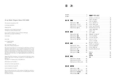 【セール】ストリートフォト・マニュアル　偶然を味方にする撮影術