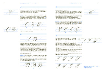 マスタリング・カッパープレート・カリグラフィー　文字の美しさを築く実践的プロセス