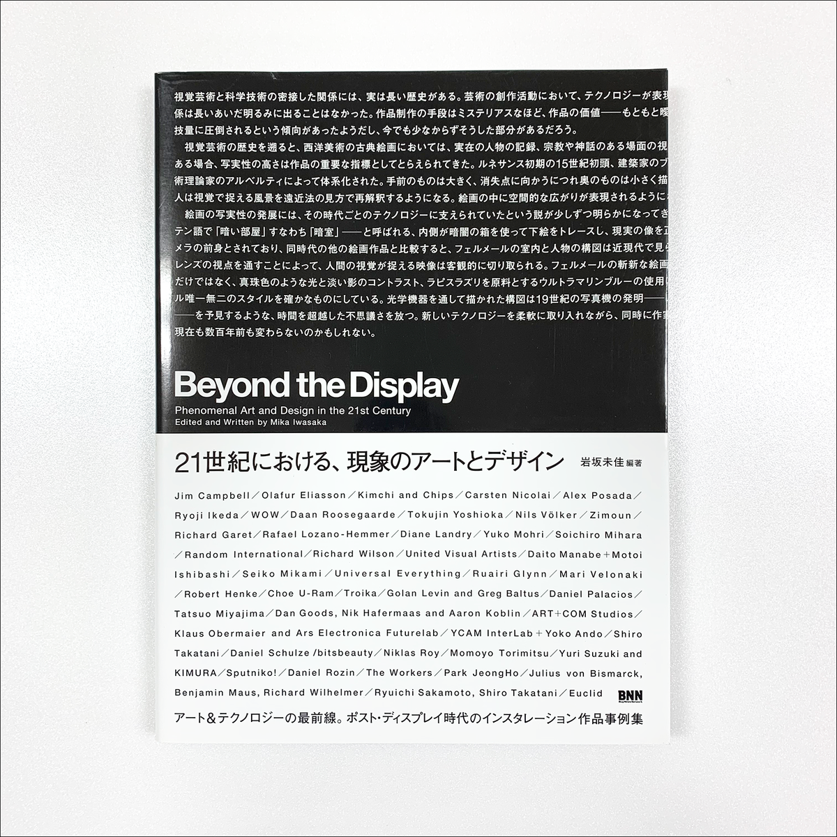 傷や汚れあり】Beyond the Display：21世紀における、現象のアートと