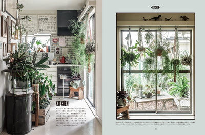 【セール】Deco Room with Plants here and there 植物とくらす。部屋に、街に、グリーン・インテリア＆スタイリング