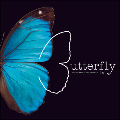 Butterfly [ 蝶 ]