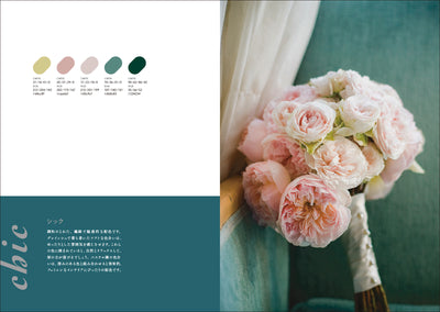 配色パターンブック - 写真からつくる美しい配色1000