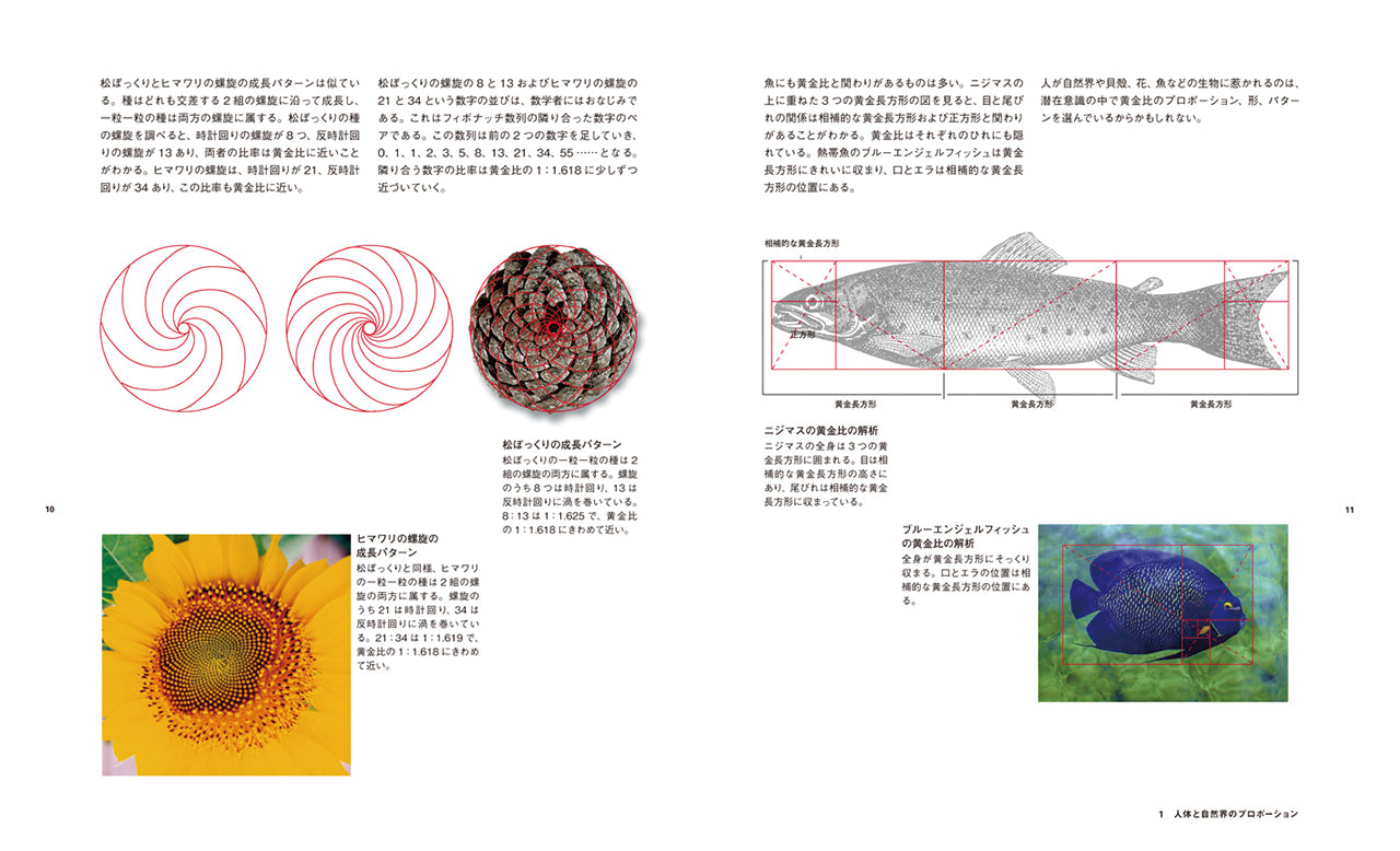 Balance in Design［増補改訂版］ 美しくみせるデザインの原則 | 株式 