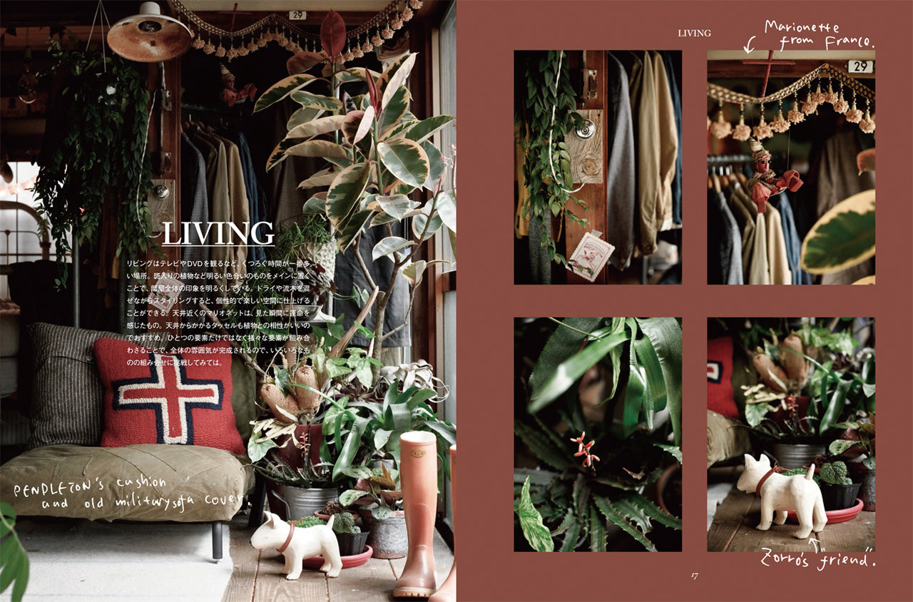 Deco Room with Plants 植物とつくる、自分らしいインテリア