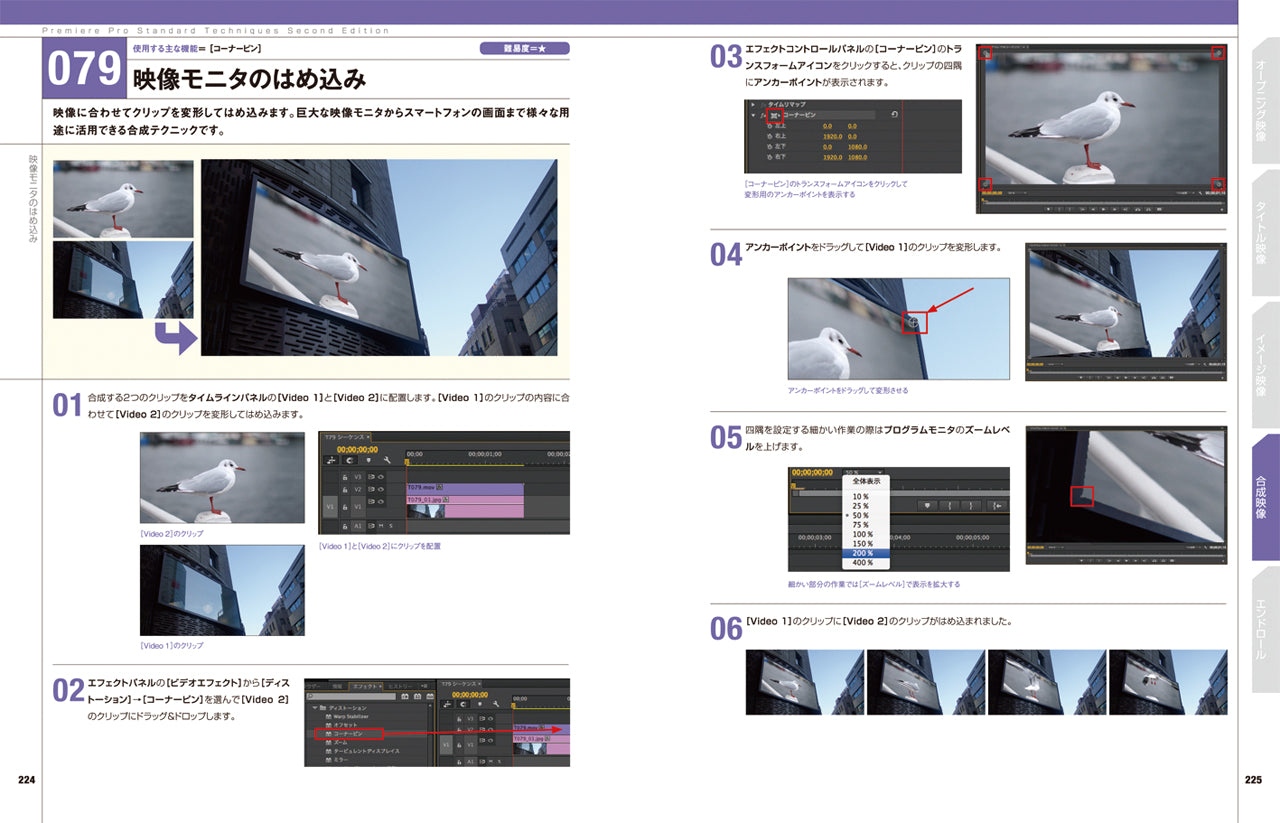 Premiere Pro Standard Techniques［第2版］ -CC Professional Works